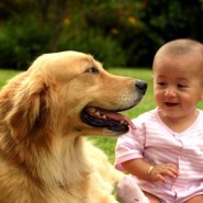 «Невероятные истории из собачьей жизни» фотографии