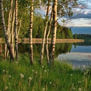 «Россия в сердце на века, любимая родина моя» фотографии