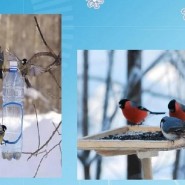 «Перекус для пернатых» фотографии