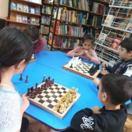 «Эстетика шахмат» фотографии