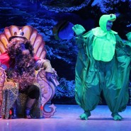 «Проделки Водокрута» фотографии