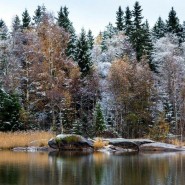 Шахматисты Пироговского фотографии