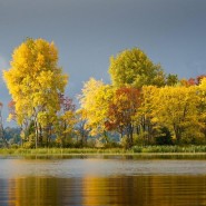 «Возвращаясь к истокам » фотографии