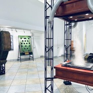 Выставка «Яблоко Ньютона» фотографии