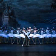 Встреча «Путешествие по страницам балетов П. И. Чайковского» фотографии