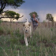 Показ фильма «Миа и белый лев» фотографии