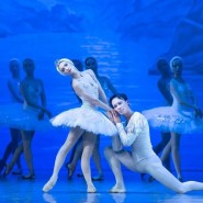 Балет «Лебединое озеро» фотографии