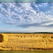 «Коротко о важном!» фотографии