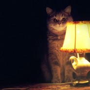 «Моя история» фотографии