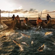 Всемирный день рыболовства фотографии