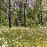 «Лес – наше богатство» фотографии