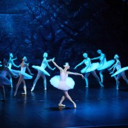 «Лебединое озеро» фотографии