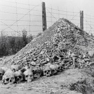 Беседа «Памяти жертв Холокоста» фотографии