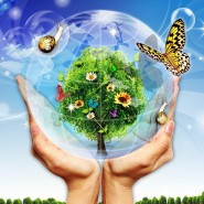 Игровая программа «Я планету берегу» фотографии