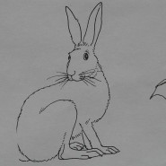 Конкурс рисунка «Пасхальный кролик» фотографии