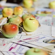 Международный яблочно-книжный фестиваль в Коломне фотографии