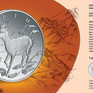 Выставка «Драгоценный мир живой природы» фотографии