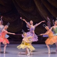 Спектакль «Сказочный мир балета» фотографии