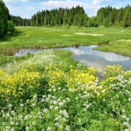 «Курская битва» фотографии