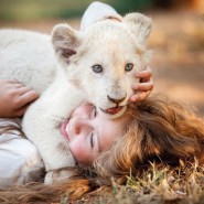 Показ фильма «Миа и белый лев» фотографии