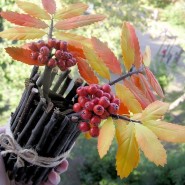 «Рябиновая осень» фотографии