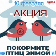 Акция «Покормите птиц зимой» фотографии