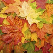 Детский праздник «Осенний бал» фотографии