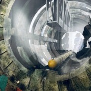 Выставка «Яблоко Ньютона» фотографии