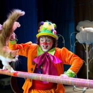 «Танцующие кошки» фотографии