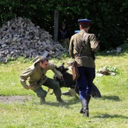 Военно-патриотический фестиваль «Фронтовая собака» фотографии