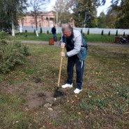 Акция «Посади дерево» фотографии