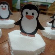 «Пингвины на льдине» фотографии