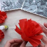 Гвоздика памяти фотографии