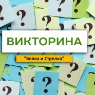 Викторина «Белка и Стрелка» фотографии