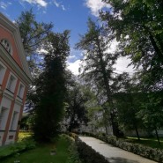 Презентация энциклопедических изданий по родословной Аксаковых и Пушкиных фотографии