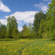 «Колокольный перезвон» фотографии