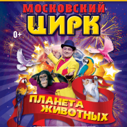 Московский цирк «Планета животных» фотографии