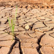 Всемирный день борьбы с опустыниванием и засухой фотографии