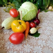 «Урожай–2024» фотографии