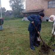 Акция «Посади дерево» фотографии