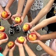 Интерактивная программа «Лето–солнышком согрето» фотографии