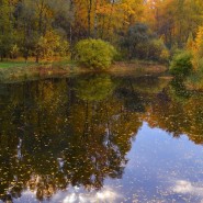 Игры разума фотографии