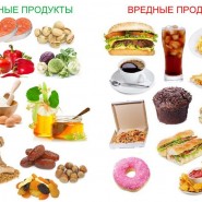 Питание и здоровье фотографии