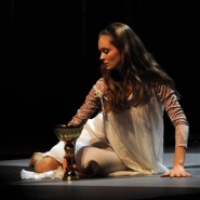 Спектакль «Лев зимой» фотографии