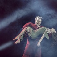 Мюзикл-шоу «Нотр-Дам де Пари» и «Ромео и Джульетта» фотографии