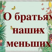 Познавательная игра «О братьях наших меньших» фотографии