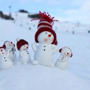 «История снеговиков и снежных баб» фотографии