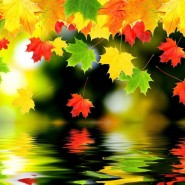 Студия творчества «Осенний листопад» фотографии