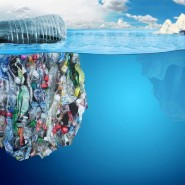 Видеобеседа «Мировой океан и пластик» фотографии