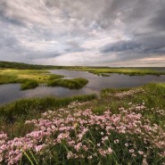 Живая история письменных приборов фотографии